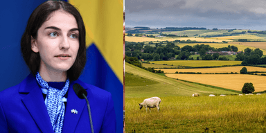 Klimat- och miljöminister Romina Pourmokhtari (L) och en bild på en landsbygd som kommer att få mest i bidrag. (Foto: Ali Lorestani/TT och Canva)