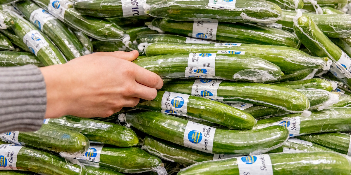 Inplastade gurkor i en butik. Gurka inslagen i plast kan snart vara ett minna blott när du handlar för nu kan det svenska startup-bolaget Saveggys nya uppfinning skydda grönsakerna i stället.